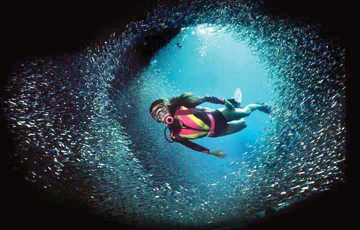 beat-the-heat---Scuba-Diving